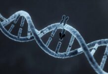 ДНК-тест SepOr для поиска преступников вне баз данных создали в Сибири