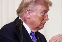 Война в Украине – Трамп заявил, что США не обязаны помогать Украине — Политика